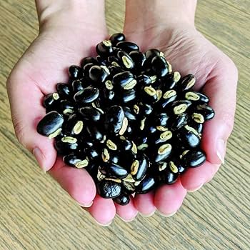 Amazon.co.jp: 天然そのまま黒ムクナ豆(300g入)【敷島屋】生黒